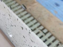 -龙格亲子游泳·水育早教运动中心(绿宝中心)