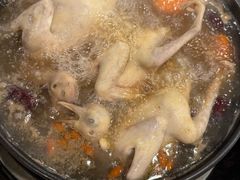 滋潤養顏藥膳乳鴿煲-时利和美食(东方广场店)