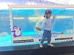 -海合安武汉极地海洋公园