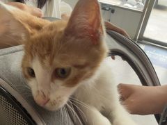 -宠颐生宠物医院·犬猫全科·皮肤科(商业街店)