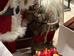 -菲住布渴全日制餐厅·简餐·下午茶·蛋糕