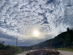 -浅山蜜塘奇妙乐园·亲子营地