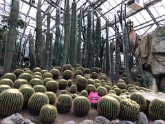 -南山植物园
