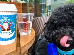 -COSTA COFFEE(成都来福士店)