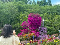 -苏州上方山国家森林公园