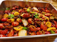 -福苗小骆驼烧烤(莲湖路店)