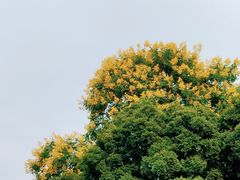 -浙江大学(玉泉校区)