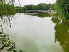 -上海鲜花港