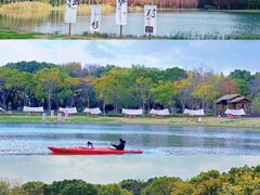 -虎丘湿地公园