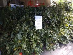 -左撇子私房面