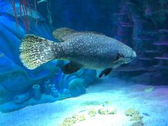 -沈阳海洋探索中心