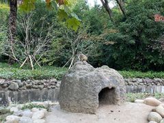 -上海野生动物园