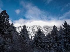 -黄龙山原始森林景区