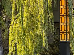 -哈尔滨极乐寺