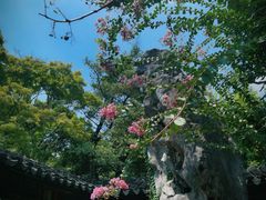 -留园