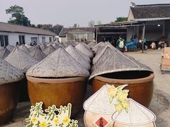 -苏州市吴中区光福窑上花果蜜饯厂