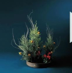 -今日陶艺(富力广场店)