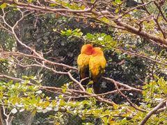 -广州长隆国际大马戏