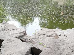 -常家庄园