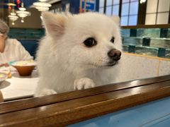-大锅强·蒸海鲜青岛菜(金沙滩店)