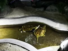 -泉城欧乐堡海洋极地世界