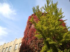 -辽宁大学(崇山校区)