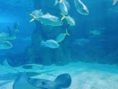 -常州海昌海洋探索馆