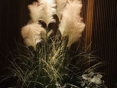 -顺香居·老字号湖北菜(江汉路店)