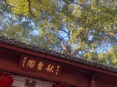 -秋霞圃