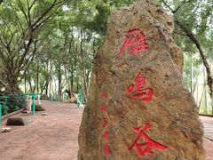 -大雁山风景区