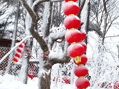 -沂蒙山旅游区云蒙景区(蒙山国家森林公园)