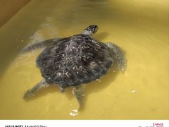 -秦皇岛新澳海底世界