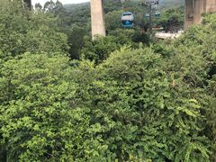 -白云山索道-售票处