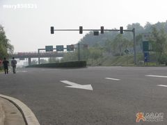 -狮麟驾校