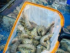 -粤盛海鲜平价店(洛溪食街店)