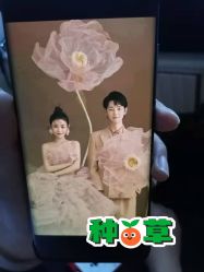 -维纳斯婚纱摄影(友好北路店)