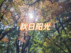 -三块石国家森林公园