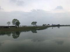 -苏州太湖湖滨国家湿地公园