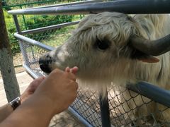 -长白岛森林公园