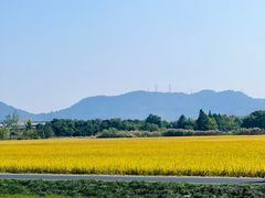 -良渚古城遗址公园