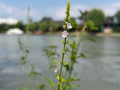 -广富林郊野公园