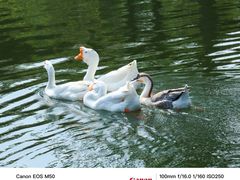 -台州府城(东湖)