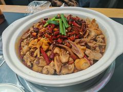 -川大刘肥肠鸡(北国店)