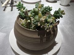 -玉满堂·湖北融合菜