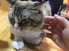 -白兔子密室(长寿路店)