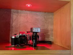 -巴厘龙虾·榜首油焖大虾(洞庭·艺术洋房店)