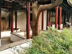 -复旦大学附属华山医院(总院)