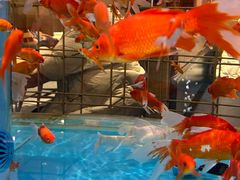 -辣得叫湘菜(四明店)