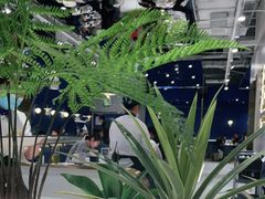 -兰湘子·湘菜小炒(崂山丽达店)