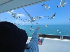 -海驴岛(荣成市)